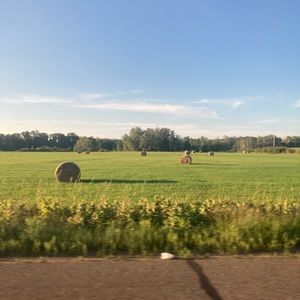 Meet your Posher, Adriana